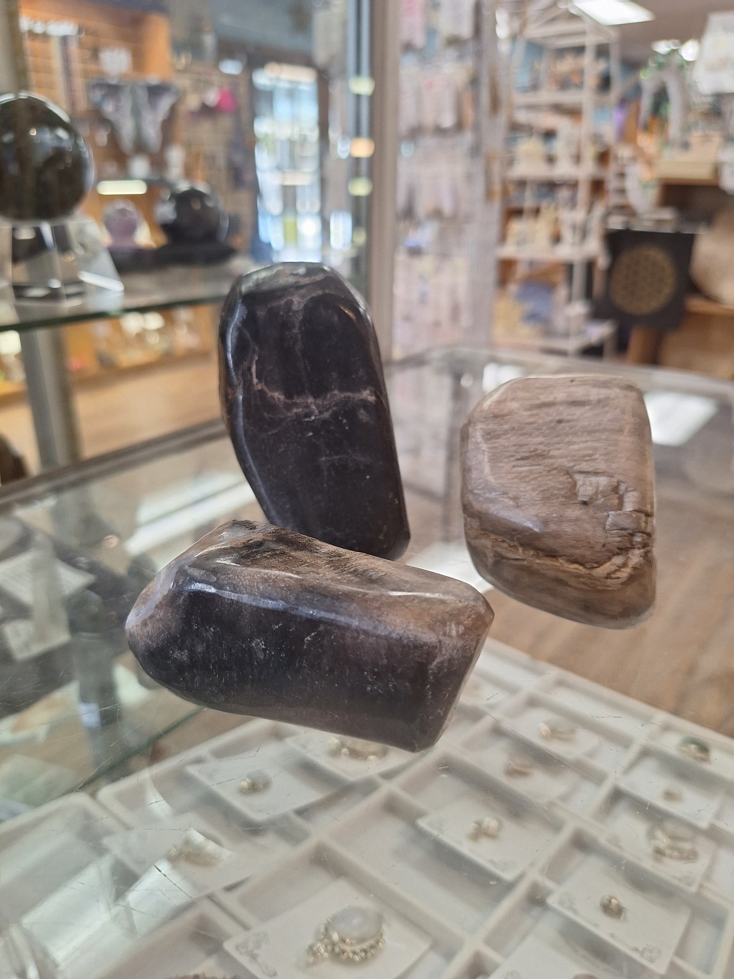 Large Polished Petrified Wood