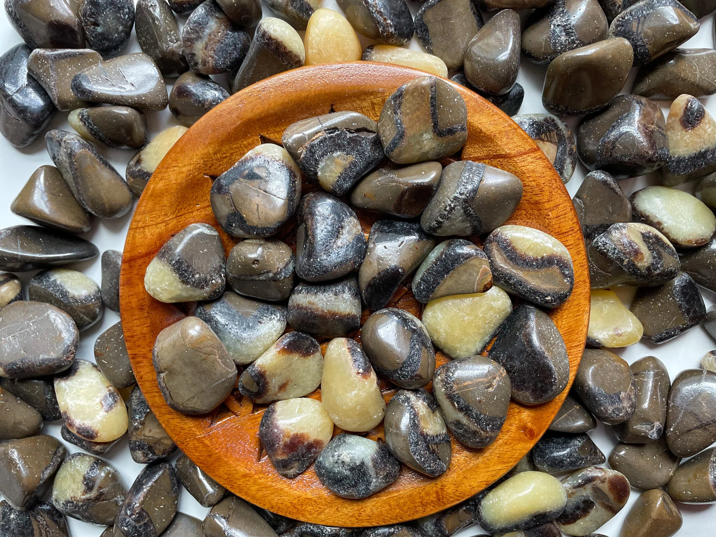 Septarian