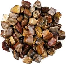 Petrified Wood