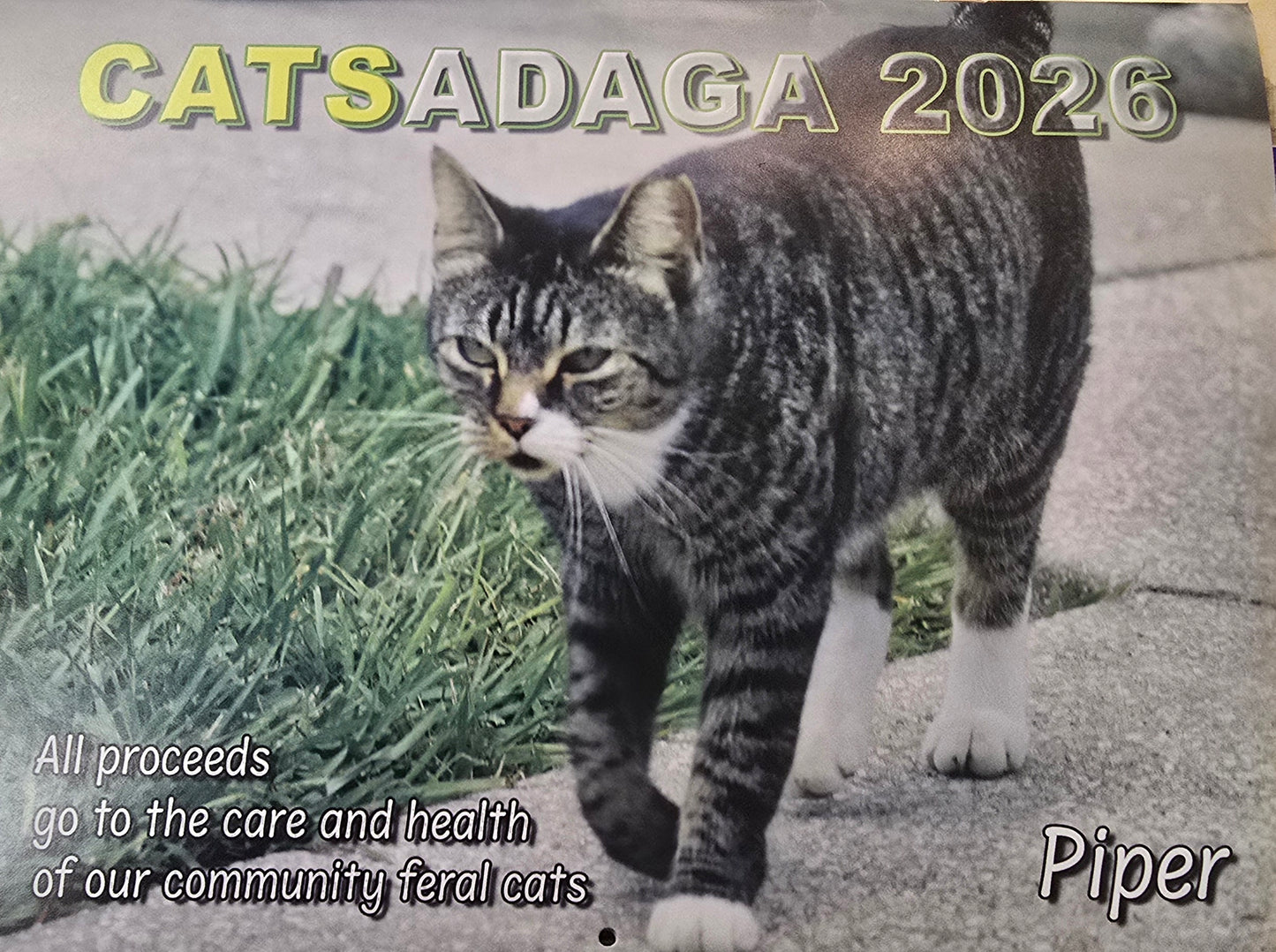 2026 Catsadaga Wall Calander