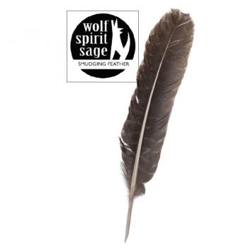 Wolf Spirit Sage Smudging Feather – Barred Turkey Feather 11"-12"