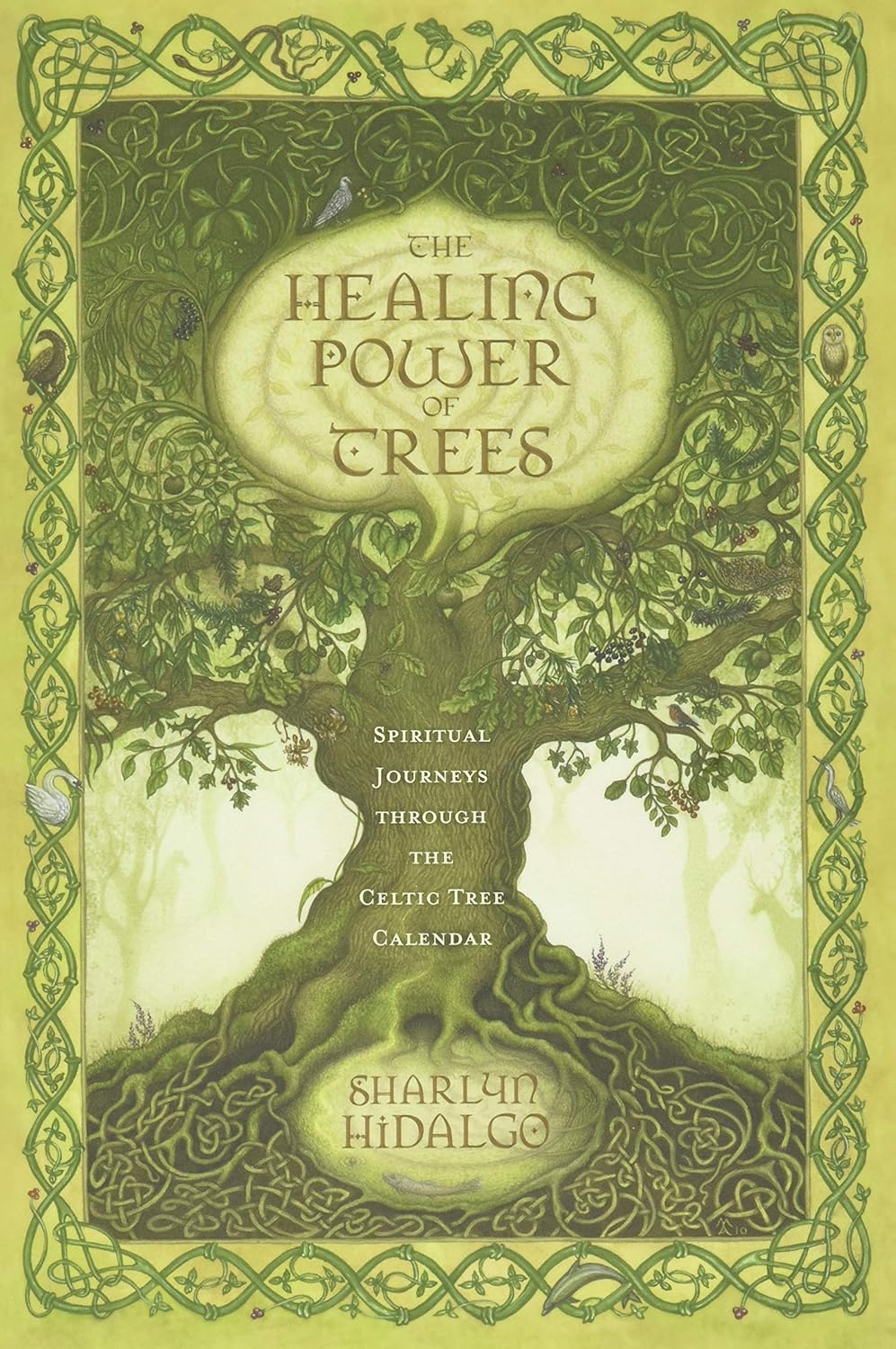 The Healing Power of Trees