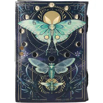 Huge Butterfly, Luna Moth, Bee Journal