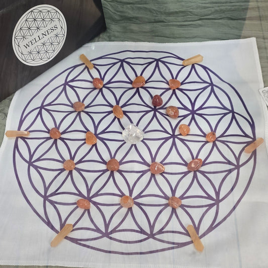 Grid Set Wellness