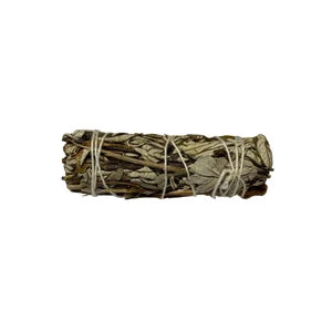 Yerba Santa 4" Bundle