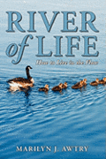 River of Life